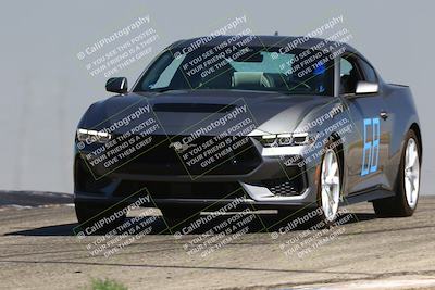 media/Jul-26-2025-Speed Ventures (Sat) [[fe569e6cf0]]/Purple Group/Grapevine/